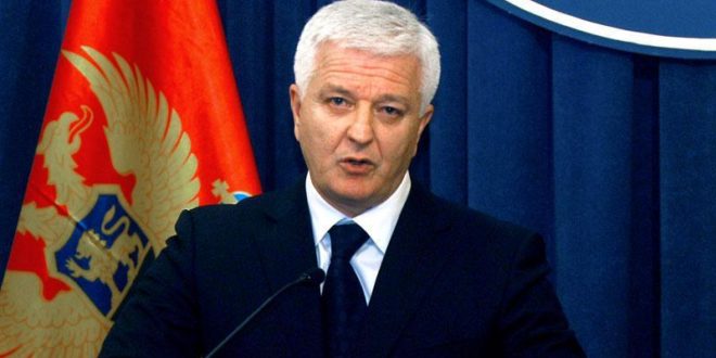 dusko-markovic-660x330