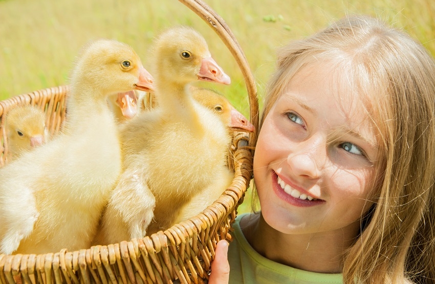 devojcica-foto-thinkstock-1495697580-118233