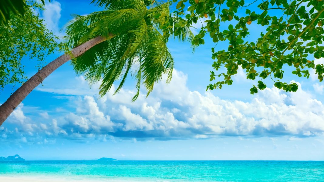 exotic-summer-day-1920x1080-wallpaper