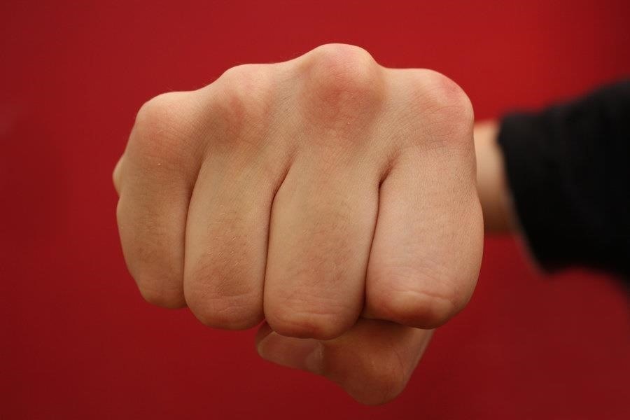 fist