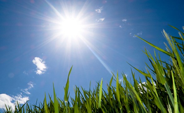 sunce0503